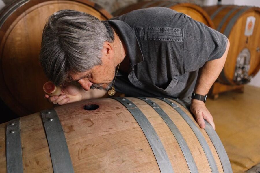 Olbia: Gallura Winery Guided Tour with Tasting - The guides and language options