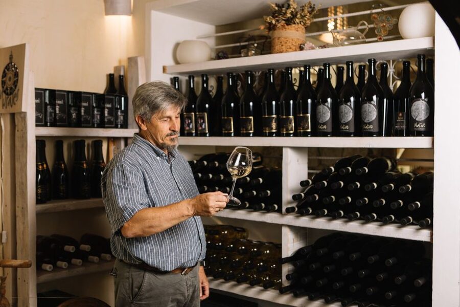 Olbia: Gallura Winery Guided Tour with Tasting - Is $61 a fair price?