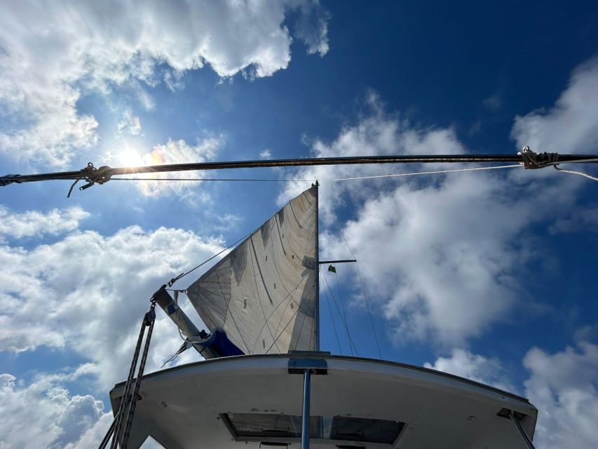 Palermo: Full-Day Snorkeling Boat Tour with Lunch and Wine - Why this Palermo boat trip is worth your day