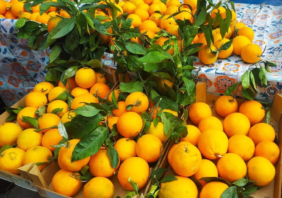 Palermo: Street Food Walking Tour with Local Guide & Tasting - Key points to know before you book