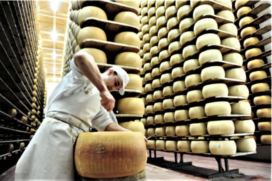 Parma: Parmigiano Production and Parma Ham Tour & Tasting - Guides who shape the experience
