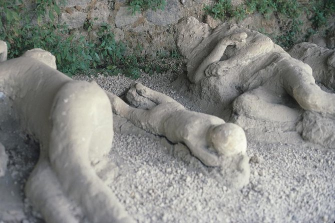 Pompeii and Mount Vesuvius Day Trip from Rome with Pizza Lunch - The coach ride from Rome