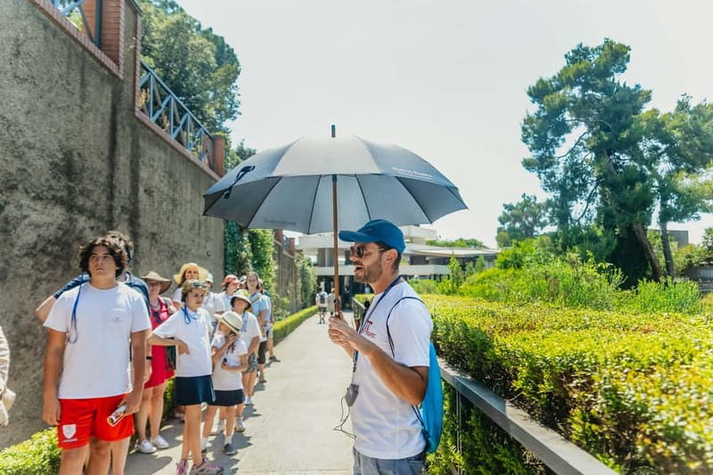 Pompeii: Archaeological Park Tour with Ticket on request - The amphitheater, theaters, and public gymnasium