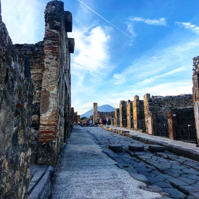 Pompeii: Guided Tour with Skip-the-Line Entry - How the guides handle crowds and heat