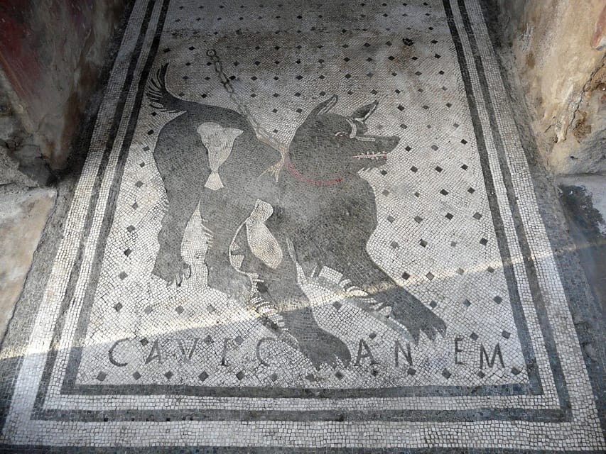 Pompeii: Skip-the-Line Entry & Audioguide - Pompeii Begins at the Forum