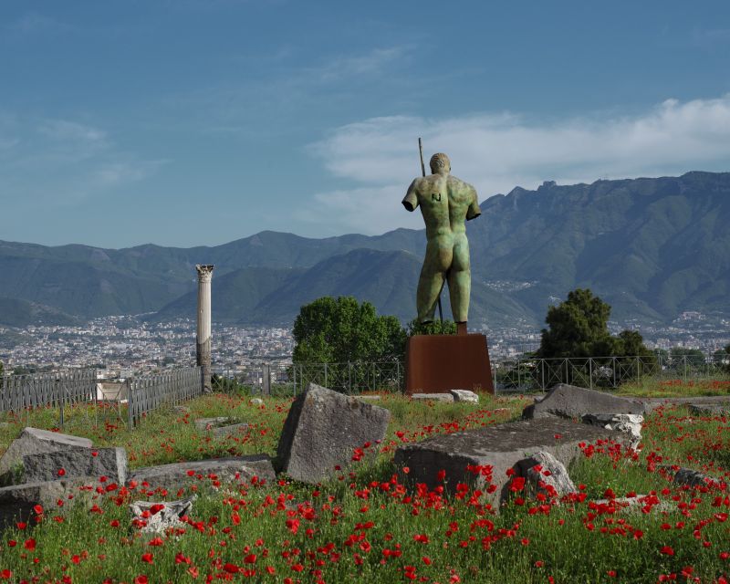 Pompeii: Skip-the-Line Entry Ticket with Digital Guide App - Getting the Digital Ticket Before You Go