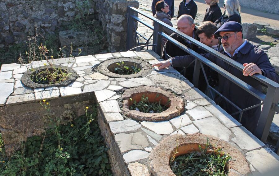 Pompeii: Skip-the-Line Tickets and Tour with Archaeologist - Bakeries, baths, and the practical details