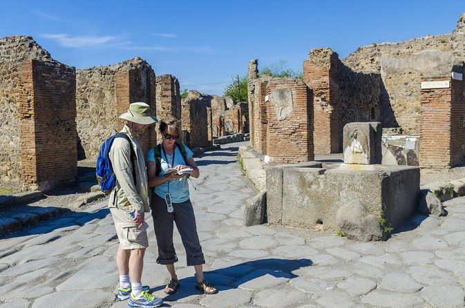 Pompeii: Small Group Tour with an Archaeologist - The Villa of the Mysteries and the three-hour choice