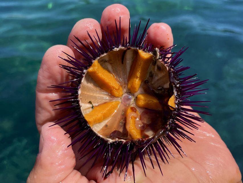 Procida: Boat Tour with Swimming Stops and Underwater Photos - Who should book this boat tour?