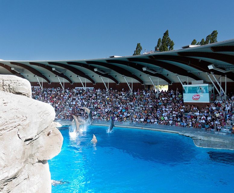 Riccione: Oltremare Park Entrance Ticket - Birds of prey bring a different kind of drama