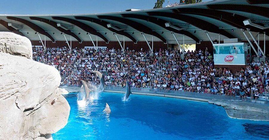 Riccione: Oltremare Park Entrance Ticket - Genesis and Planet Theatre explain the universe