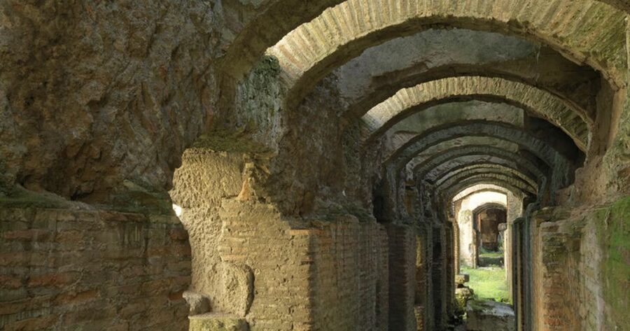 Rome: Ancient History and Colosseum Underground Tour - Walking Onto the Arena Floor