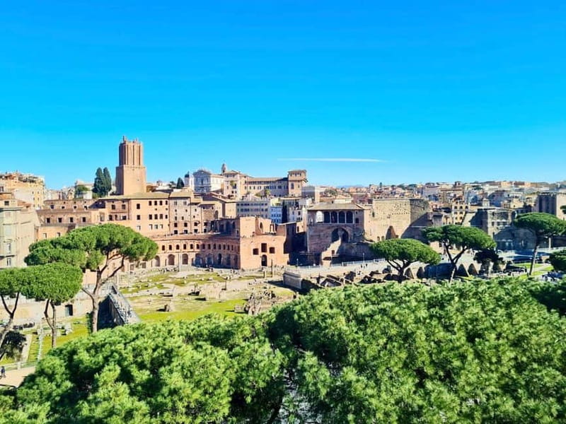 Rome: Colosseum Arena Guided Tour, Forum & Palatine Option - The Arena Floor Gives Rome’s Biggest Ruin a Human Scale