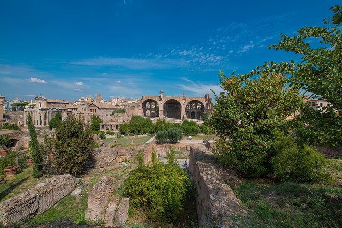 Rome: Colosseum Arena, Roman Forum & Palatine Hill Tour - Who should book this Rome tour?