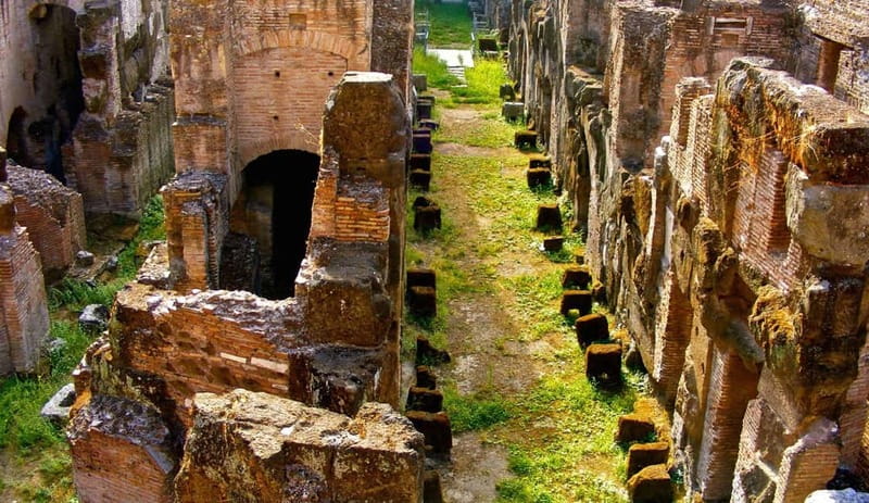 Rome: Colosseum Gladiator's Arena and Roman Forum Tour - Walking through the Roman Forum