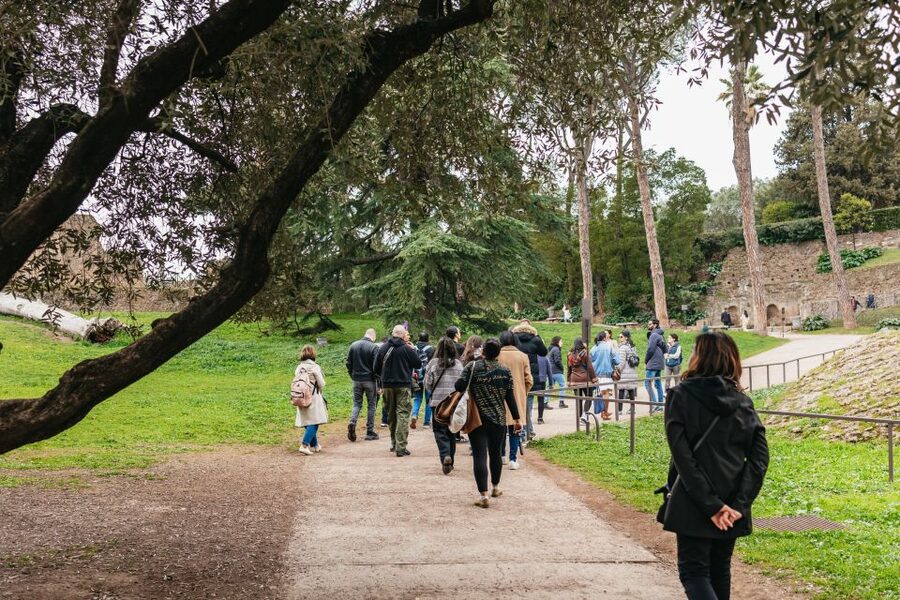 Rome: Colosseum, Palatine Hill & Roman Forum Guided Tour - Starting at the Colosseum