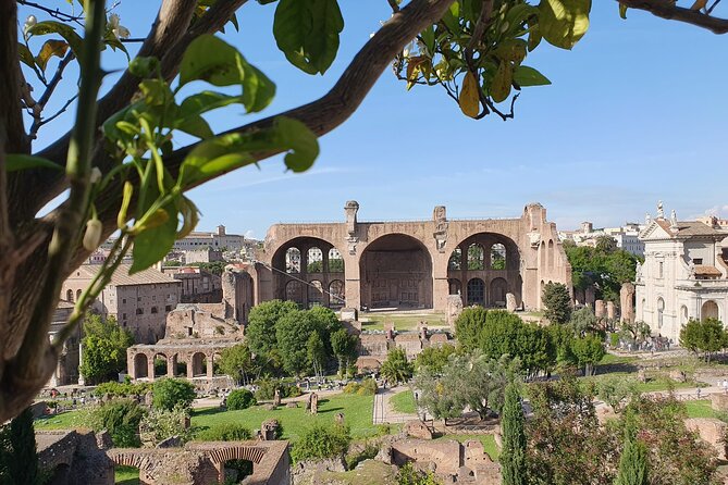 Rome: Colosseum, Roman Forum & Palatine Hill Experience - Timing, walking, and entry rules