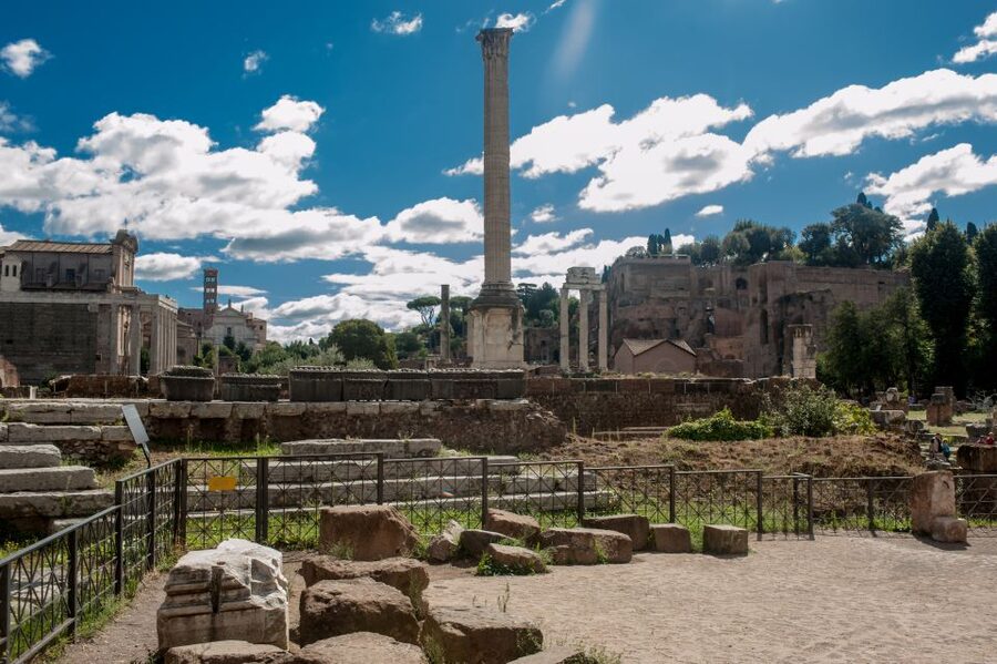 Rome: Colosseum, Roman Forum & Palatine Hill Tour - Palatine Hill and the view over Circus Maximus