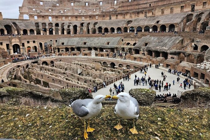 Rome: Colosseum, Roman Forum & Palatine Hill Visit + Audio Guide - Palatine Hill and the best views
