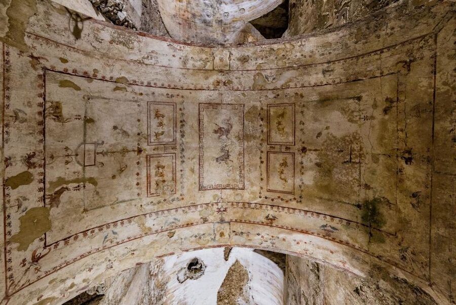 Rome: Domus Aurea Guided Group Tour - What the archaeologist guide adds