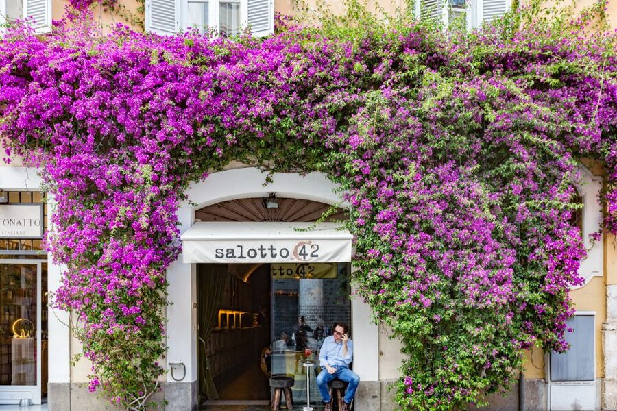 Rome: Fountains and Squares Small-Group Walking Tour - A smart introduction to central Rome