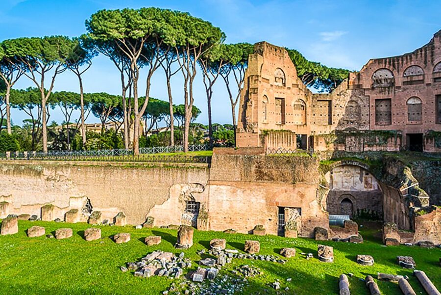 Rome: Guided Tour of Colosseum, Roman Forum & Palatine Hill - Palatine Hill and the best views