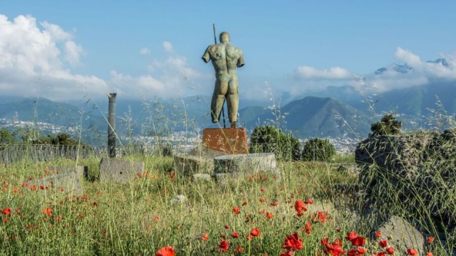 Rome: Pompeii Tour with Wine and Lunch by High Speed Train - Why the fast train changes this Rome day trip