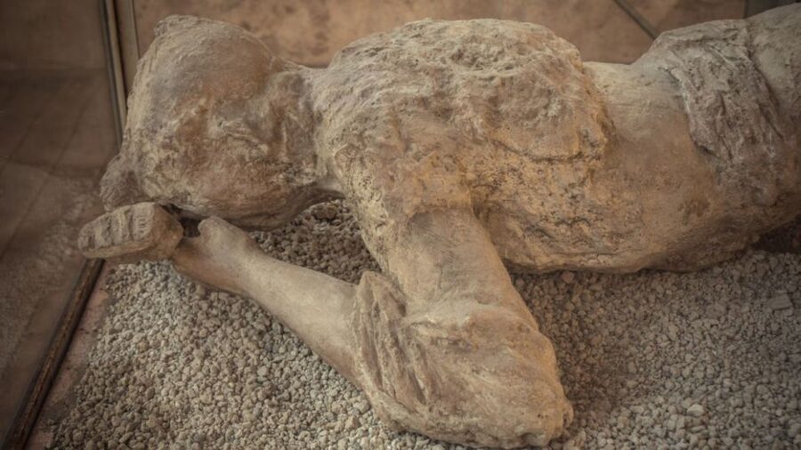 Rome: Pompeii Tour with Wine and Lunch by High Speed Train - Walking Pompeii for two and a half hours