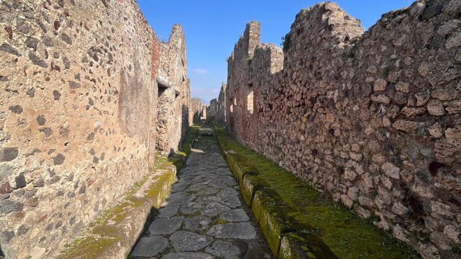 Rome: Pompeii Tour with Wine and Lunch by High Speed Train - Four wines and a long lunch near Mount Vesuvius