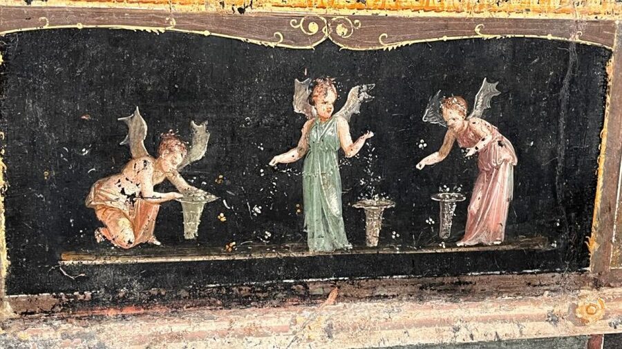 Rome: Pompeii Tour with Wine and Lunch by High Speed Train - Should you book the train, ruins, and wine day?