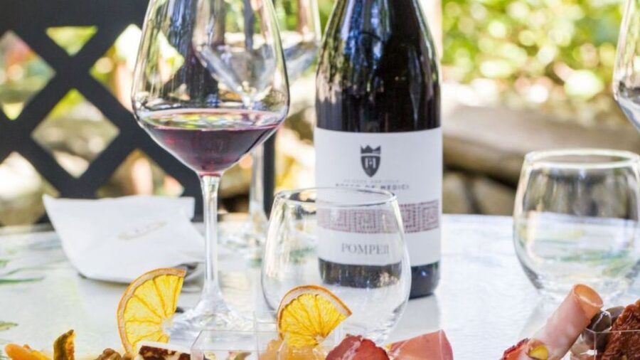 Rome: Pompeii Tour with Wine and Lunch by High Speed Train - The Naples connection and private coach