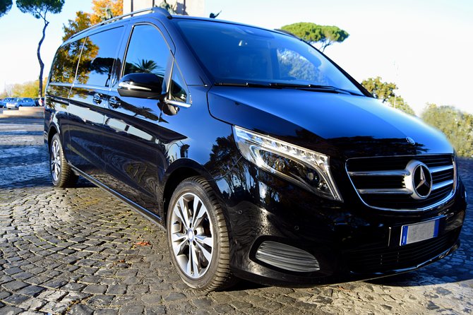 Rome Private Arrival Transfer: Fiumicino Airport to Hotel in Rome - The included 60-minute airport wait