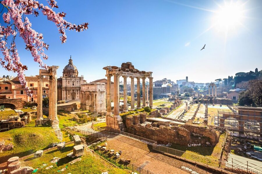 Rome: Roman Forum and Palatine Hill Licensed Guided Tour - Should you book the Roman Forum and Palatine Hill tour?