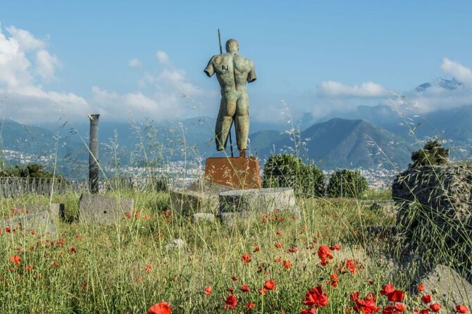 Rome to Pompeii Guided Tour with Wine & Lunch by High Speed Train - The return to Rome