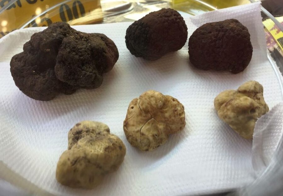 Rome: Trastevere Guided Food and Wine Tour with 20+ Tastings - Starting in Trastevere with a trapizzino