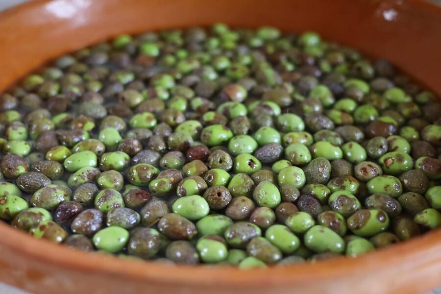 San Felice: Olive Oil Tasting with local food on Garda Hills - Should you book the San Felice olive oil tasting?