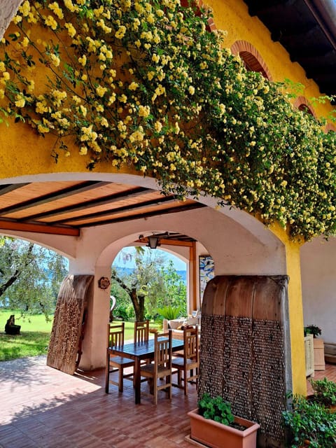 San Felice: Olive Oil Tasting with local food on Garda Hills - What happens during the two-hour visit