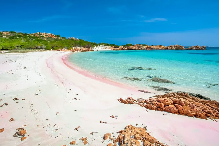 Sardinia: La Maddalena Archipelago Full-Day Trip by Boat - Key details to know before you book