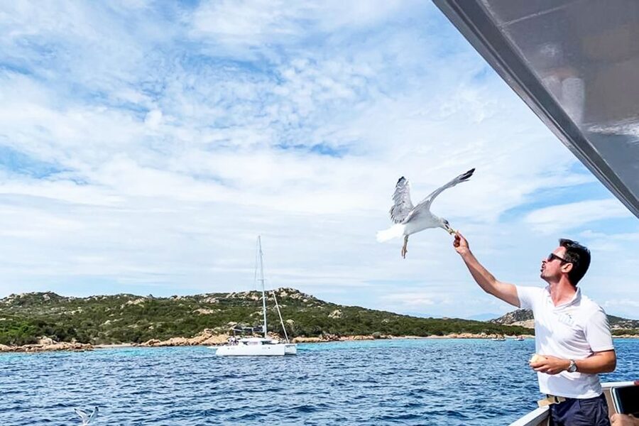 Sardinia: La Maddalena Archipelago Full-Day Trip by Boat - Who will enjoy this day most