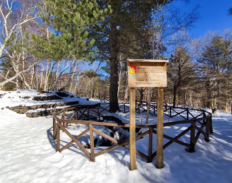 Sicily: Etna and Alcantara Gorges Full-Day Tour with Lunch - Who should book this Etna and Alcantara tour?