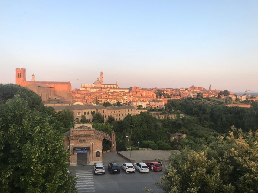 Siena: 3h Private City Walking Tour with Optional Cathedral - The Contrade and the Palio