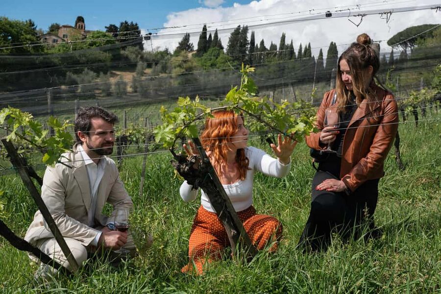 Siena: Educational Wine Tour & Tasting - Key points to know before booking