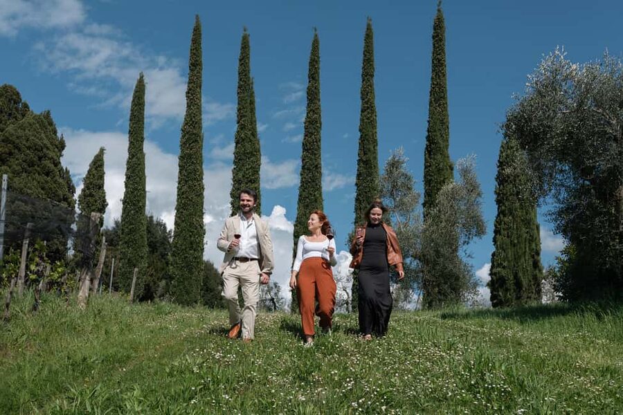 Siena: Educational Wine Tour & Tasting - A Tuscan lunch that is more than a snack