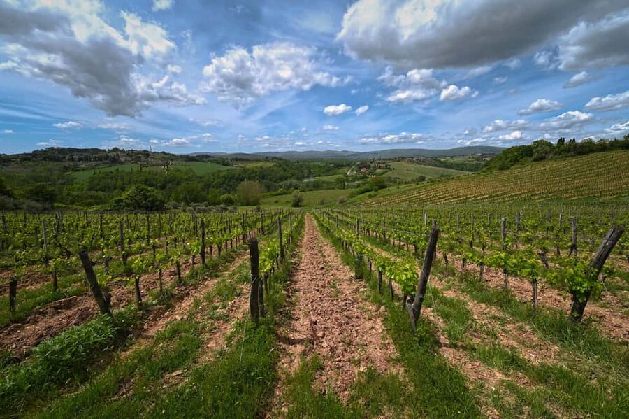 Siena: Educational Wine Tour & Tasting - Getting there from Siena