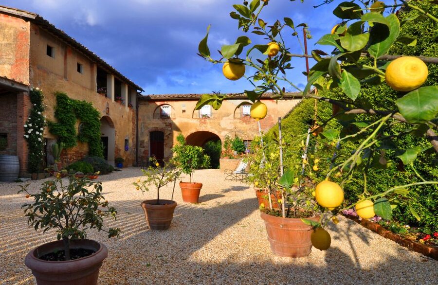 Siena: Educational Wine Tour & Tasting - Is the $100 price worth it?