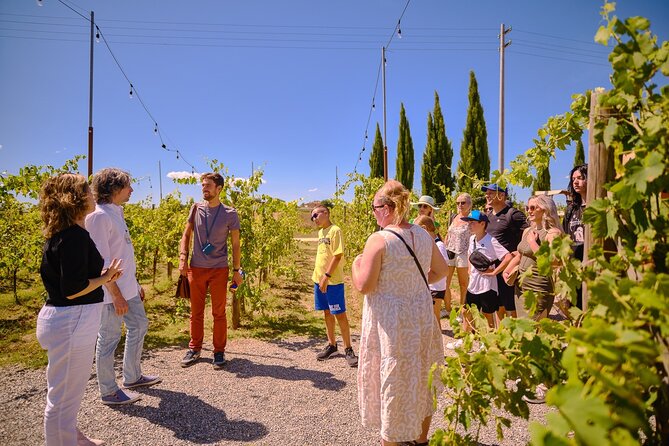 Siena, San Gimignano and Chianti Wines Day Tour from Florence - Siena brings the grandest sights of the day
