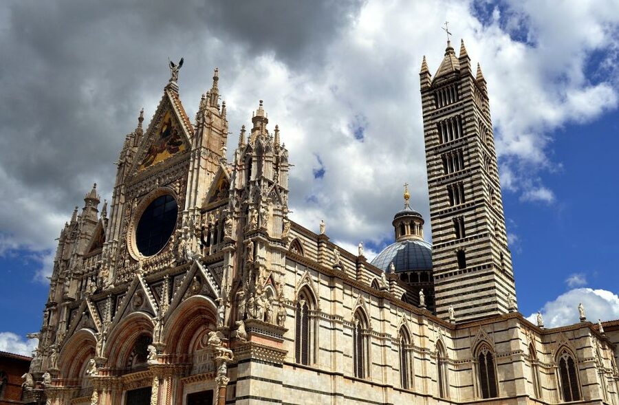 Siena Walking Tour with Cathedral and Crypt & Museum Option - Starting under the San Domenico tree