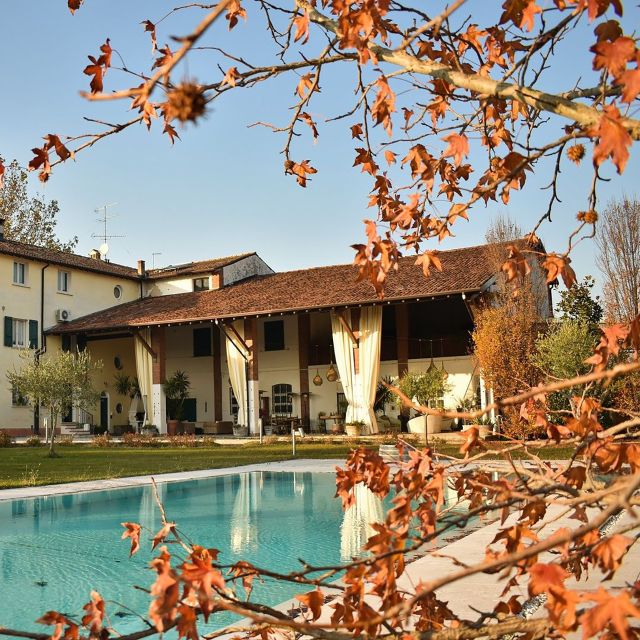 Sirmione: Vineyard Tour with Lugana Wines and Local Tastings - From grapes to cellar