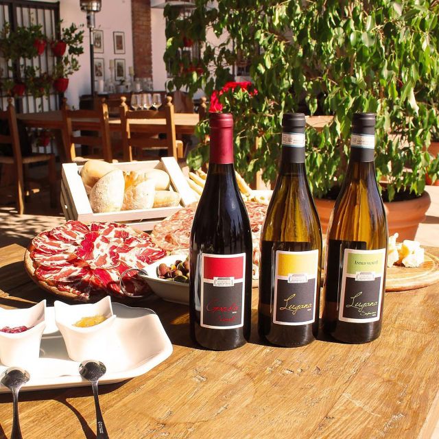 Sirmione: Vineyard Tour with Lugana Wines and Local Tastings - Guides who make the visit personal