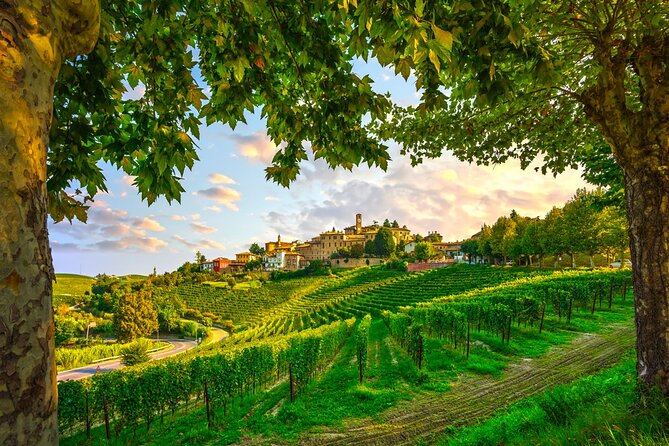 Small-Group Barolo Wine Tasting, Alba & UNESCO Piedmont Hills - The family winery and the case for one serious tasting